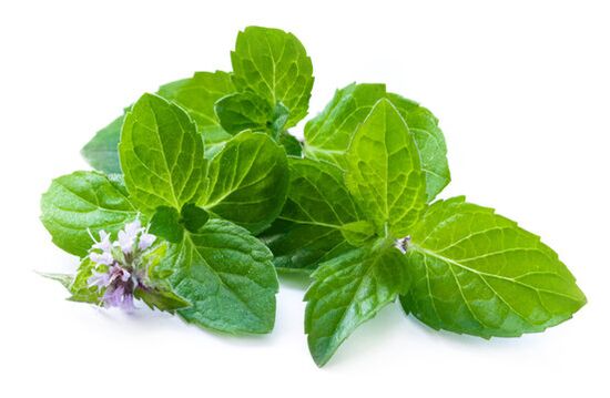 Feuilles de menthe dans le spray Nicode